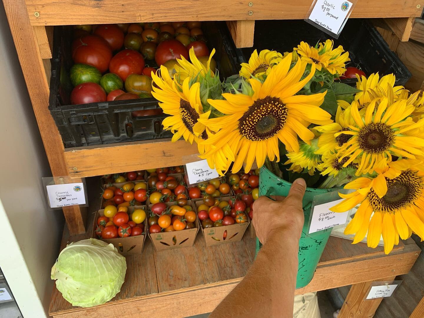 Lots of tomatoes, strawberries and sunflowers at the farmstand this weekend! Come brighten up your table and your plate with good flavors and colors!