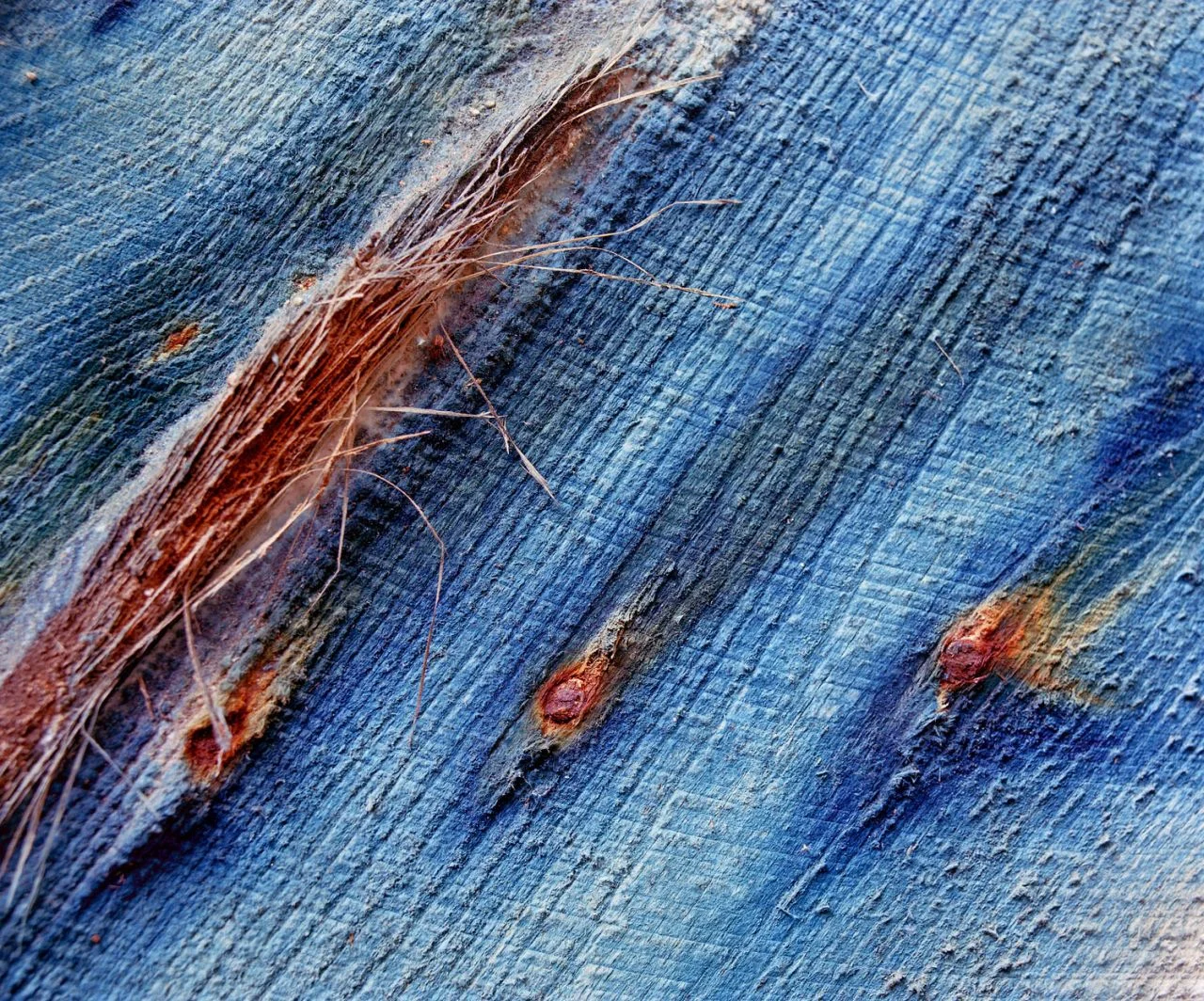 Salt Shed Nails II- 029