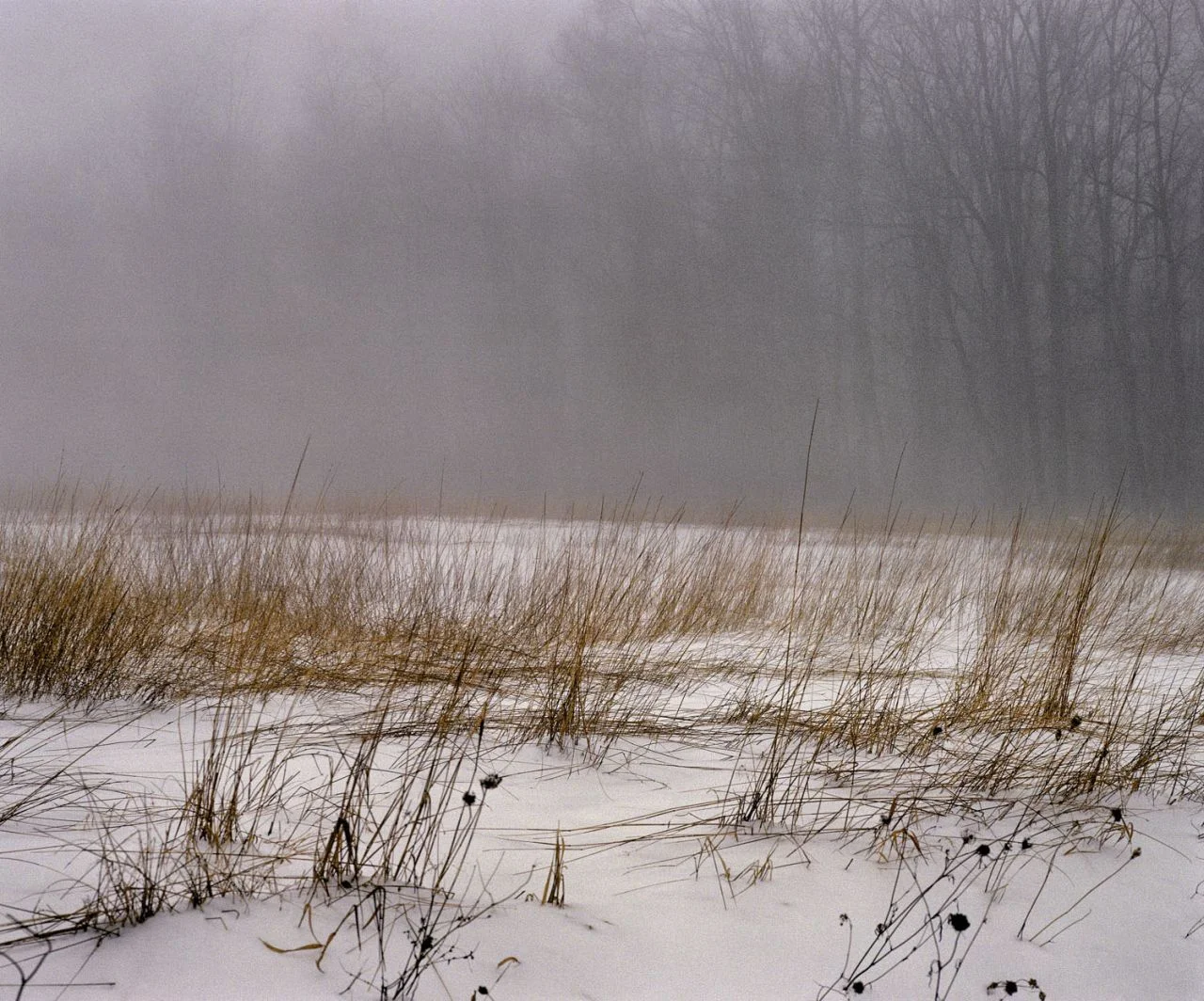 Snow Swept Field- 025