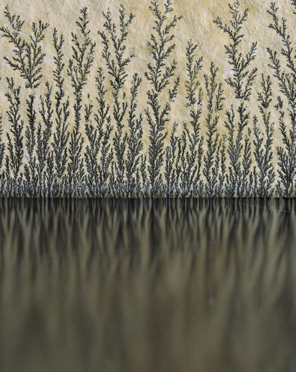 Stone And Reflection- 017