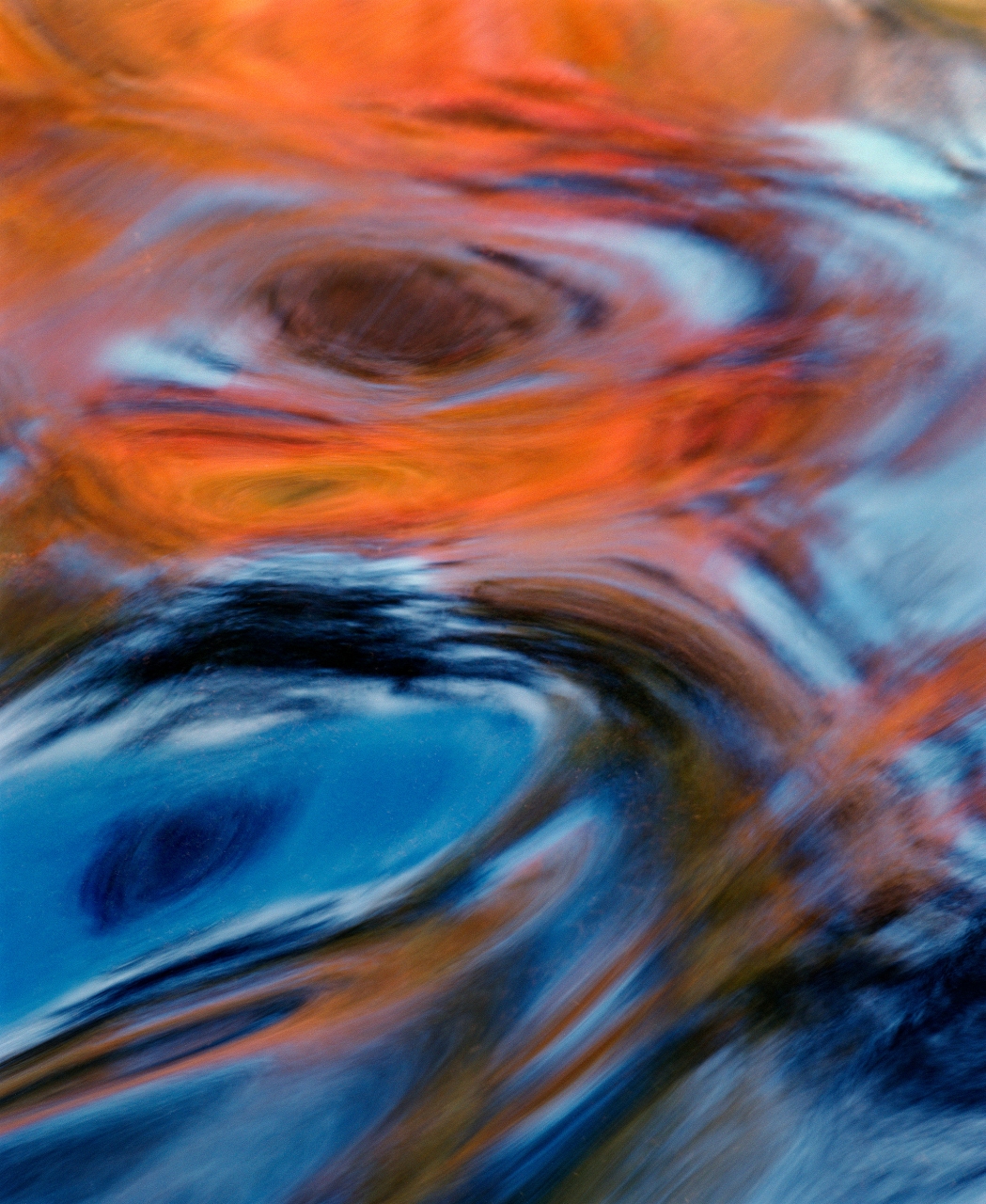 Debra's Spot IV- 151