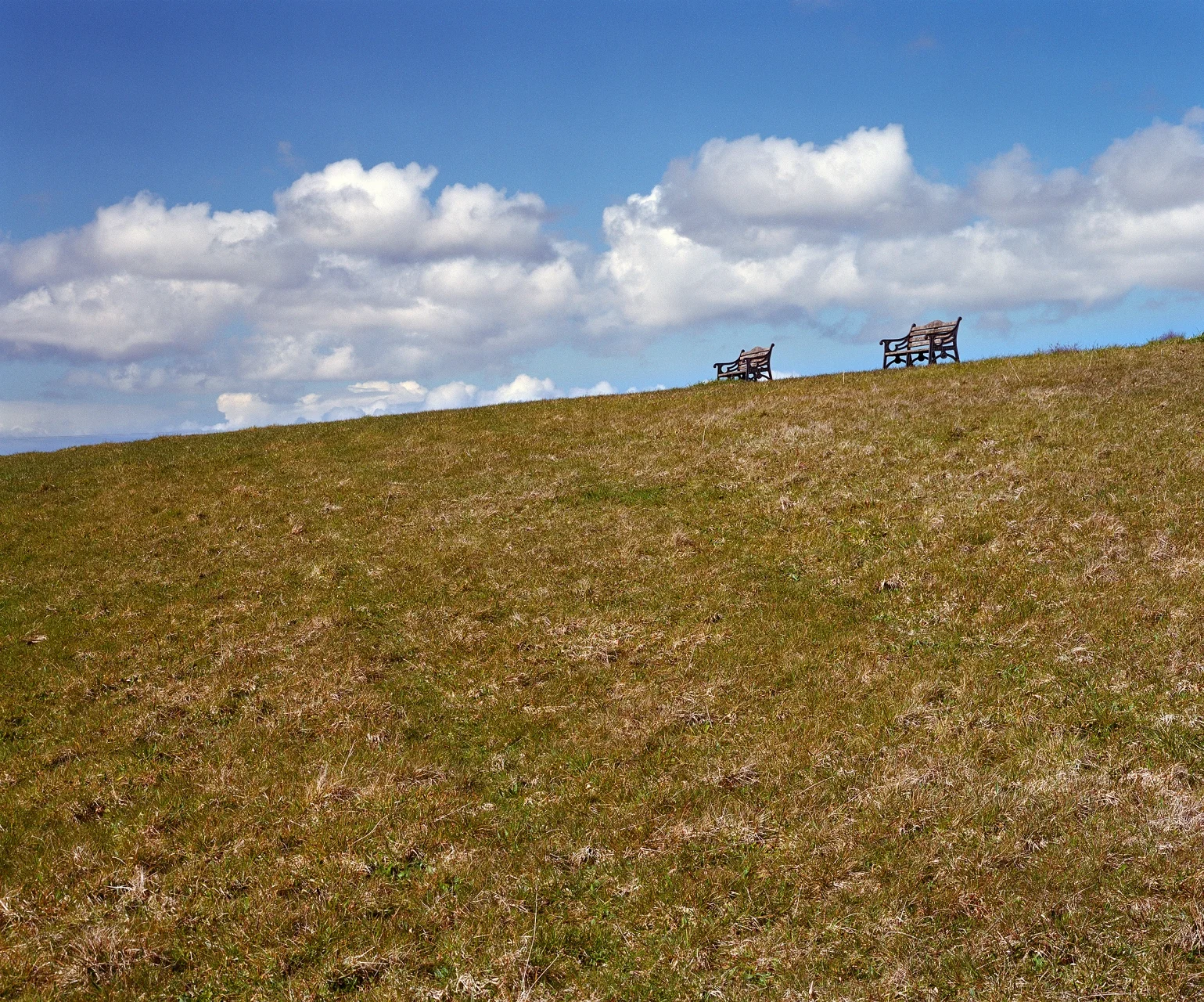 Benches- Killarney Ireland- 142
