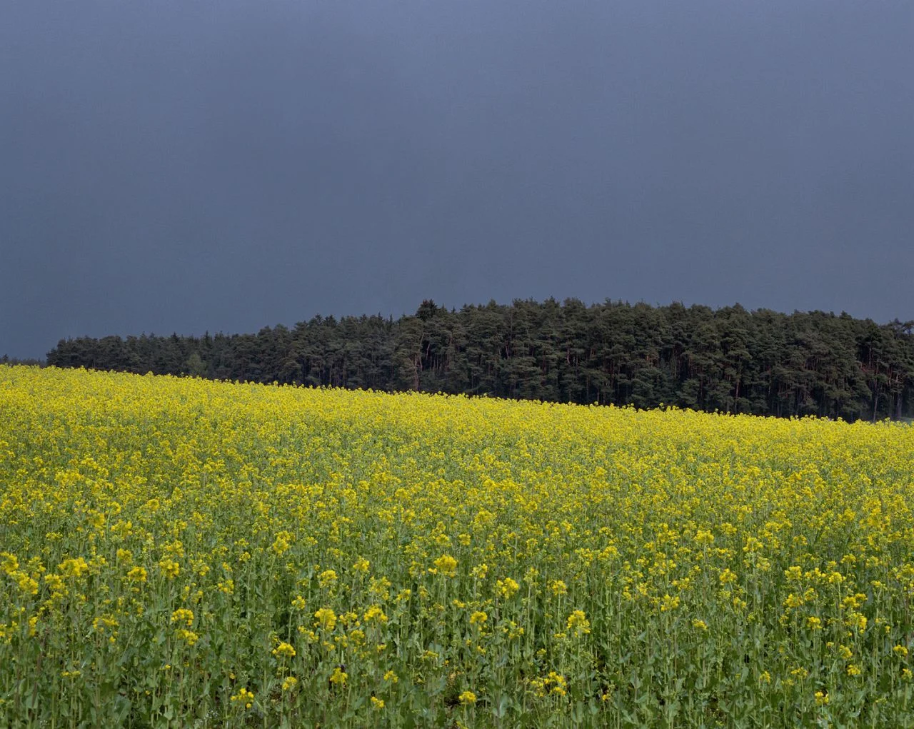 After The Storm- 041