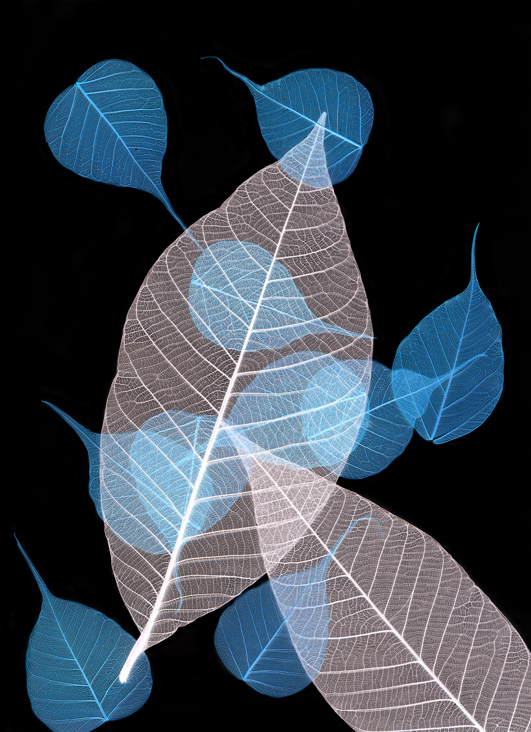 Leaf Pattern IV- 207