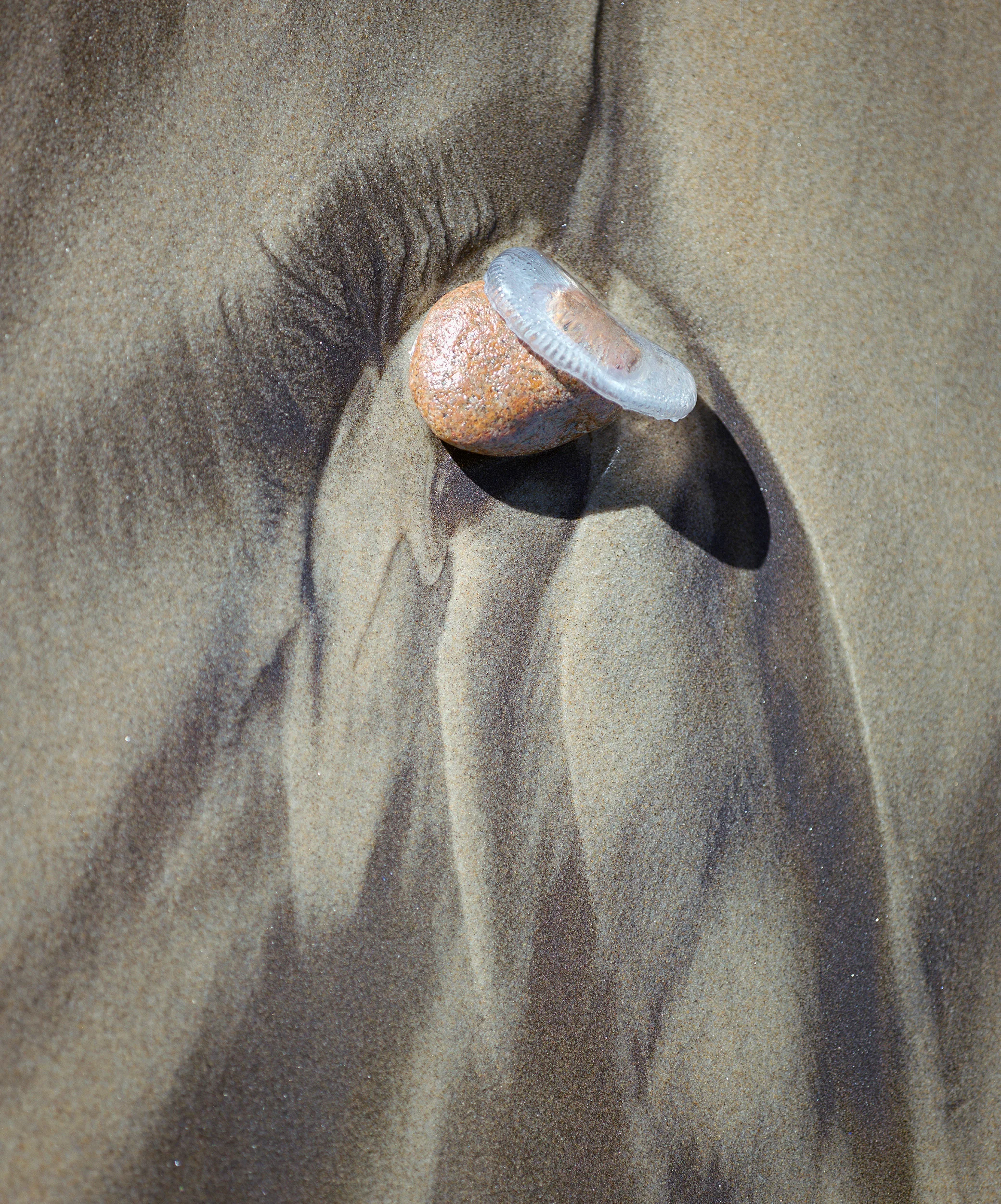 Sand Form II- 156
