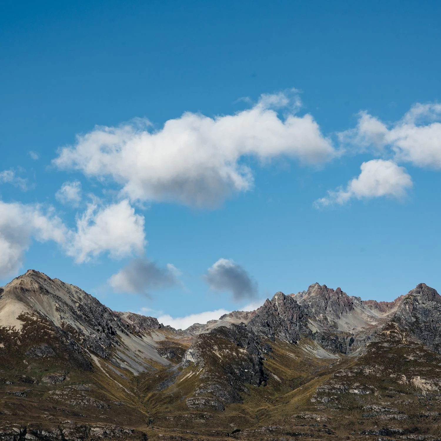 horizon_Low RES_MJP-14.jpg