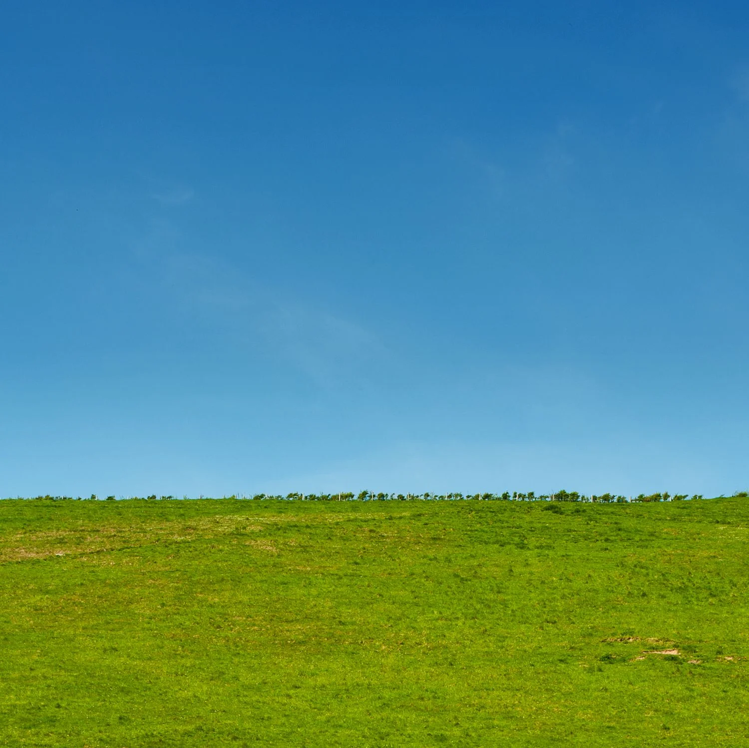 horizon_Low RES_MJP-19.jpg