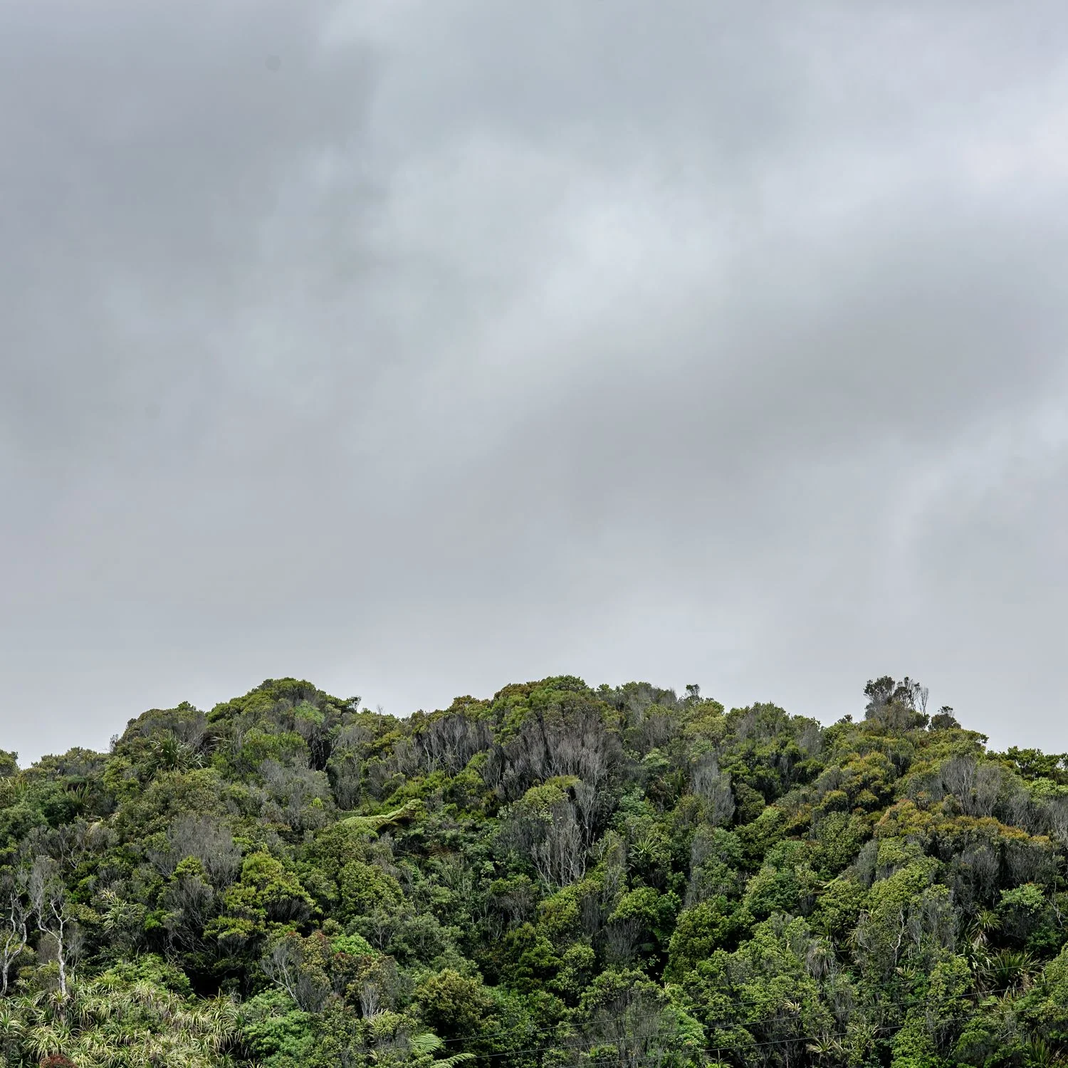 horizon_Low RES_MJP-6.jpg