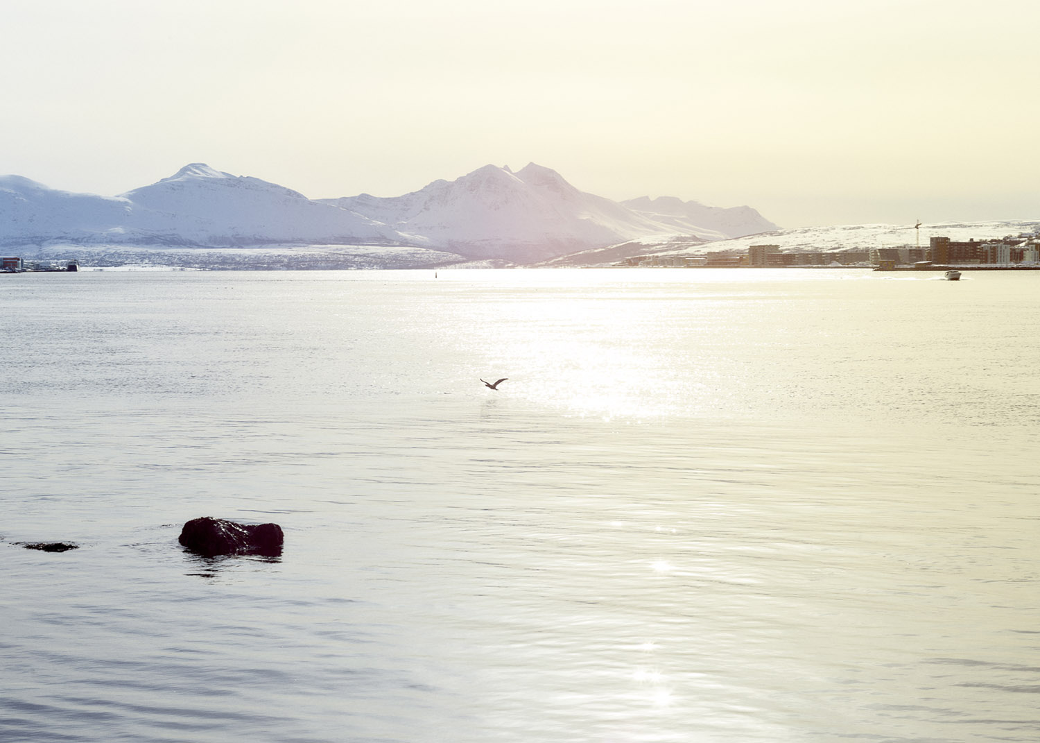 tromsø landscape