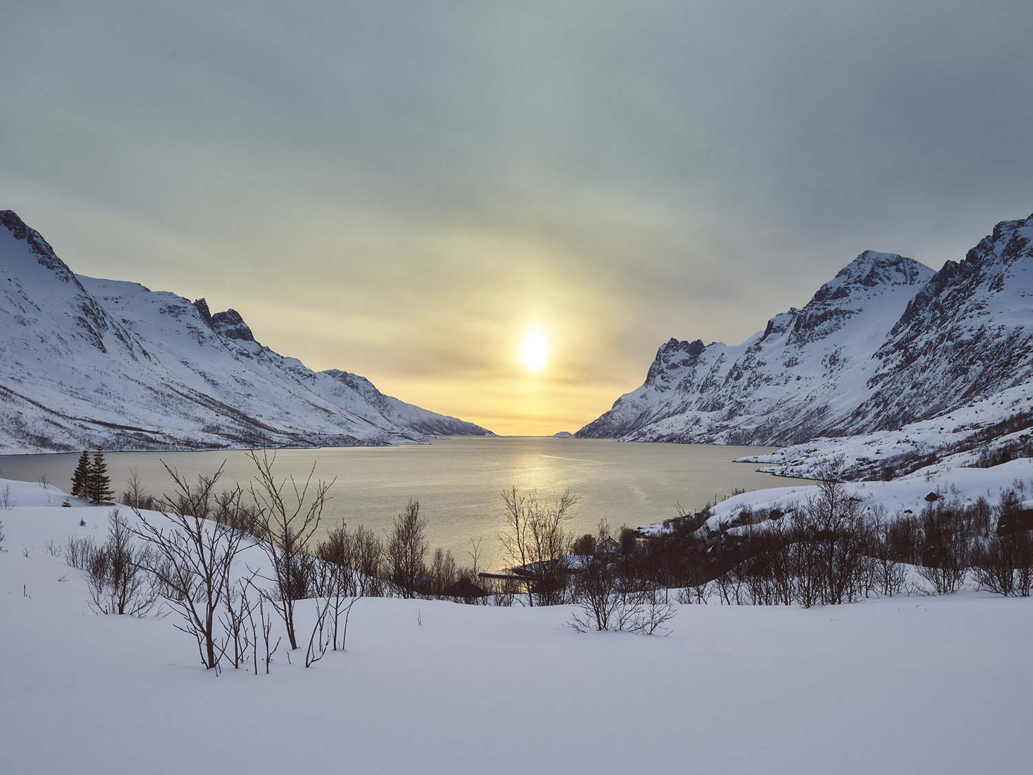 fjord tromsø
