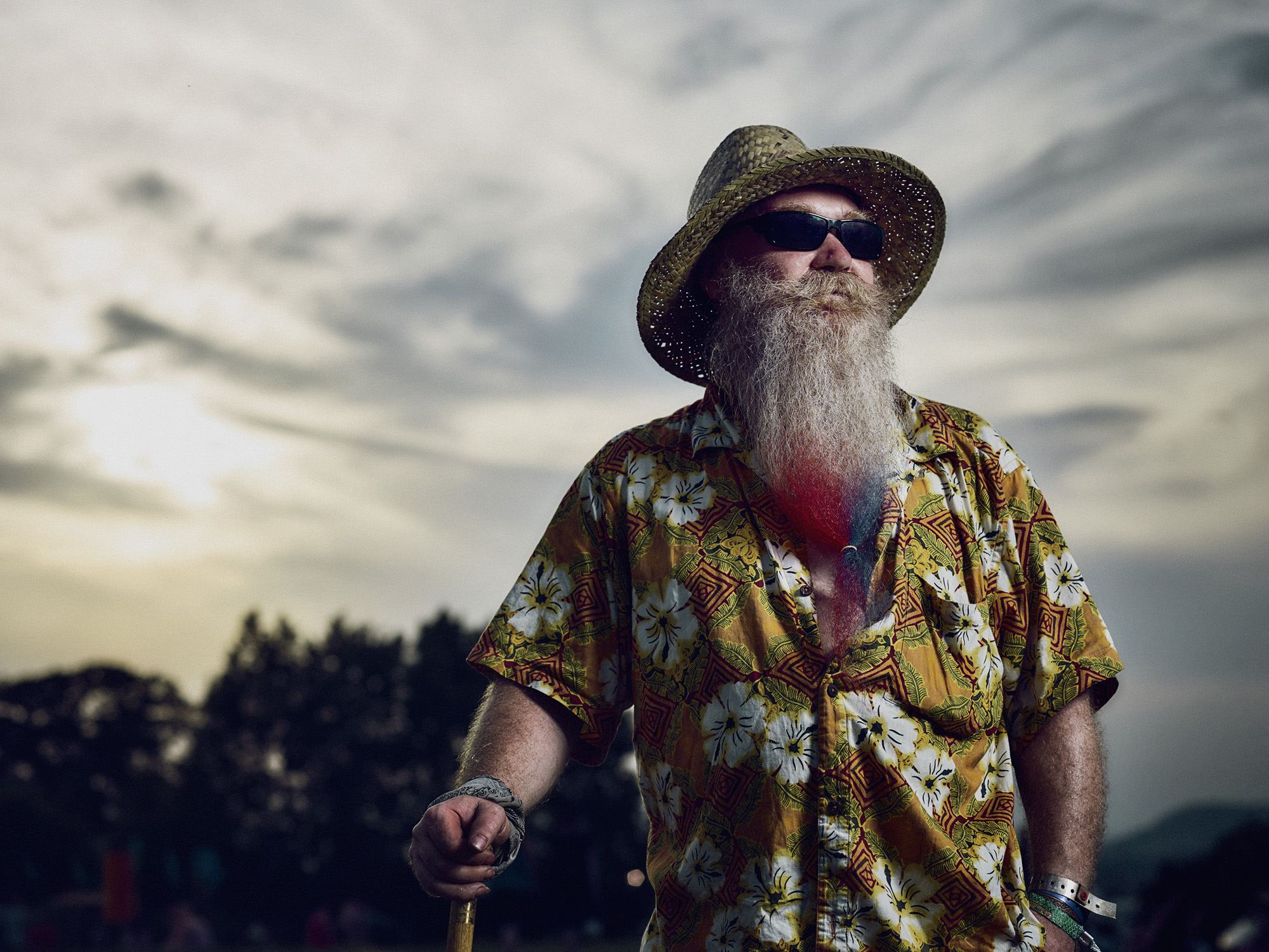 Steve- beard enthusiast & music lover