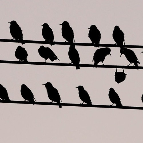 downside-up (mp3 download)