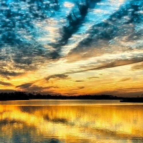 Pronto (digital download)