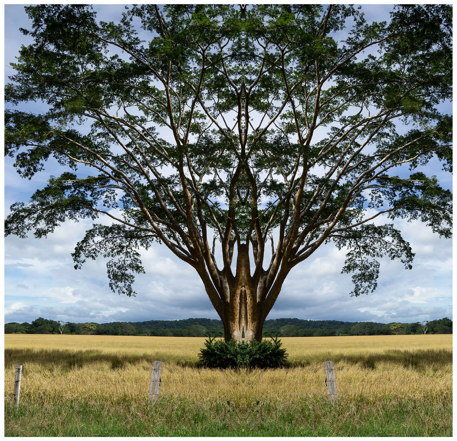 Alajuela