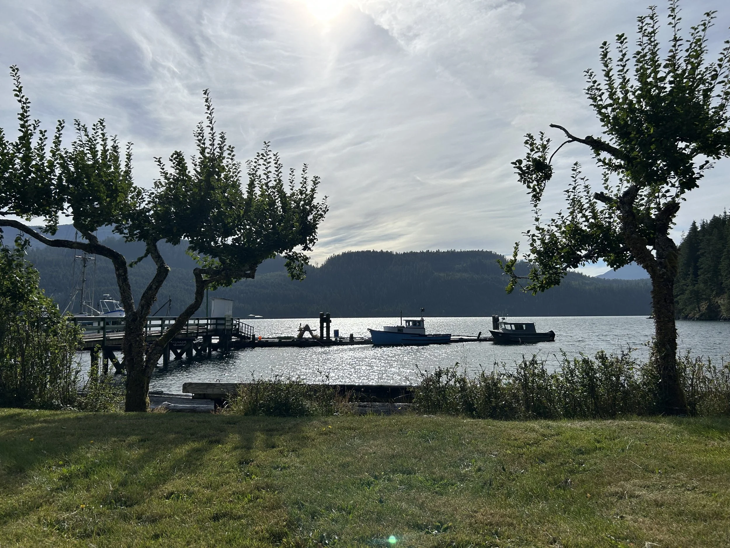 IMG_0427.jpeg