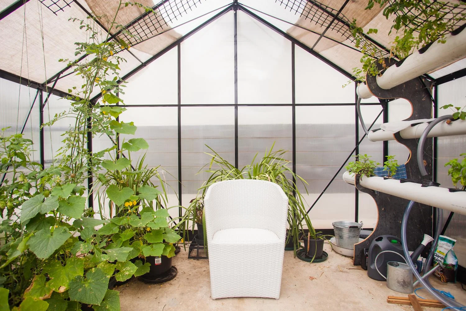 A look inside our lovely big greenhouse, which is now full of fresh cucumbers, tomatoes and herbs 
