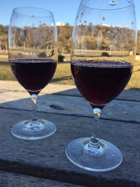 Enjoy a glass of wine at one of Canberra's gorgeous vineyards (photo taken at Mount Majura Vineyard)