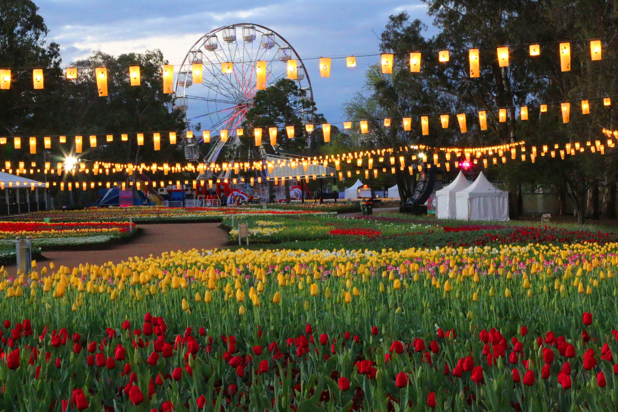 Photo from @Floriade AU Facebook page 