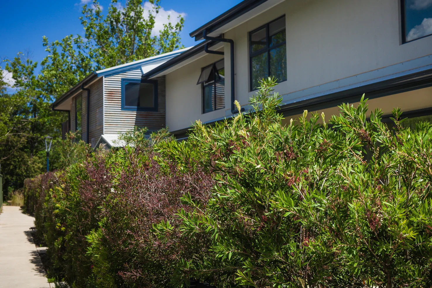 Xeriscape gardens require minimal water, and provide habitat for native birds and wildlife. 