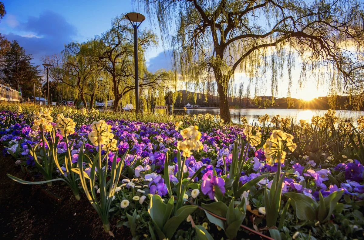 Image from https://floriadeaustralia.com/ credit carol elvin