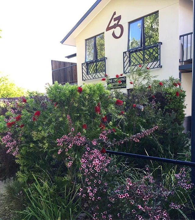 Its a bee-autiful time of year.

Can you spot one of our new 🐝 hotels? Humans and bees both love staying in our apartments. #oneofakind #beehotel #nativegardens #beefriendlygarden