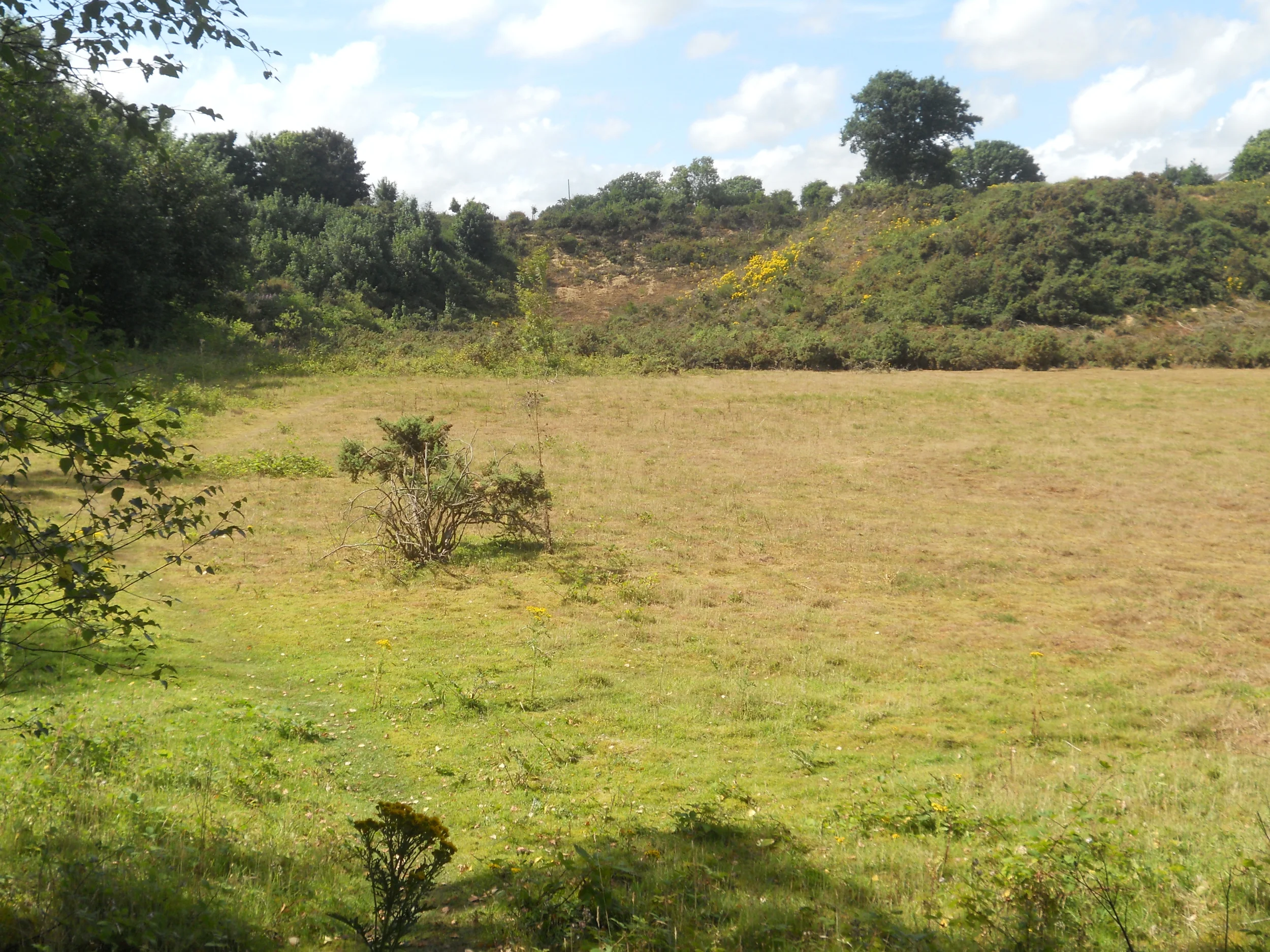 Sandpit July 13 A.JPG