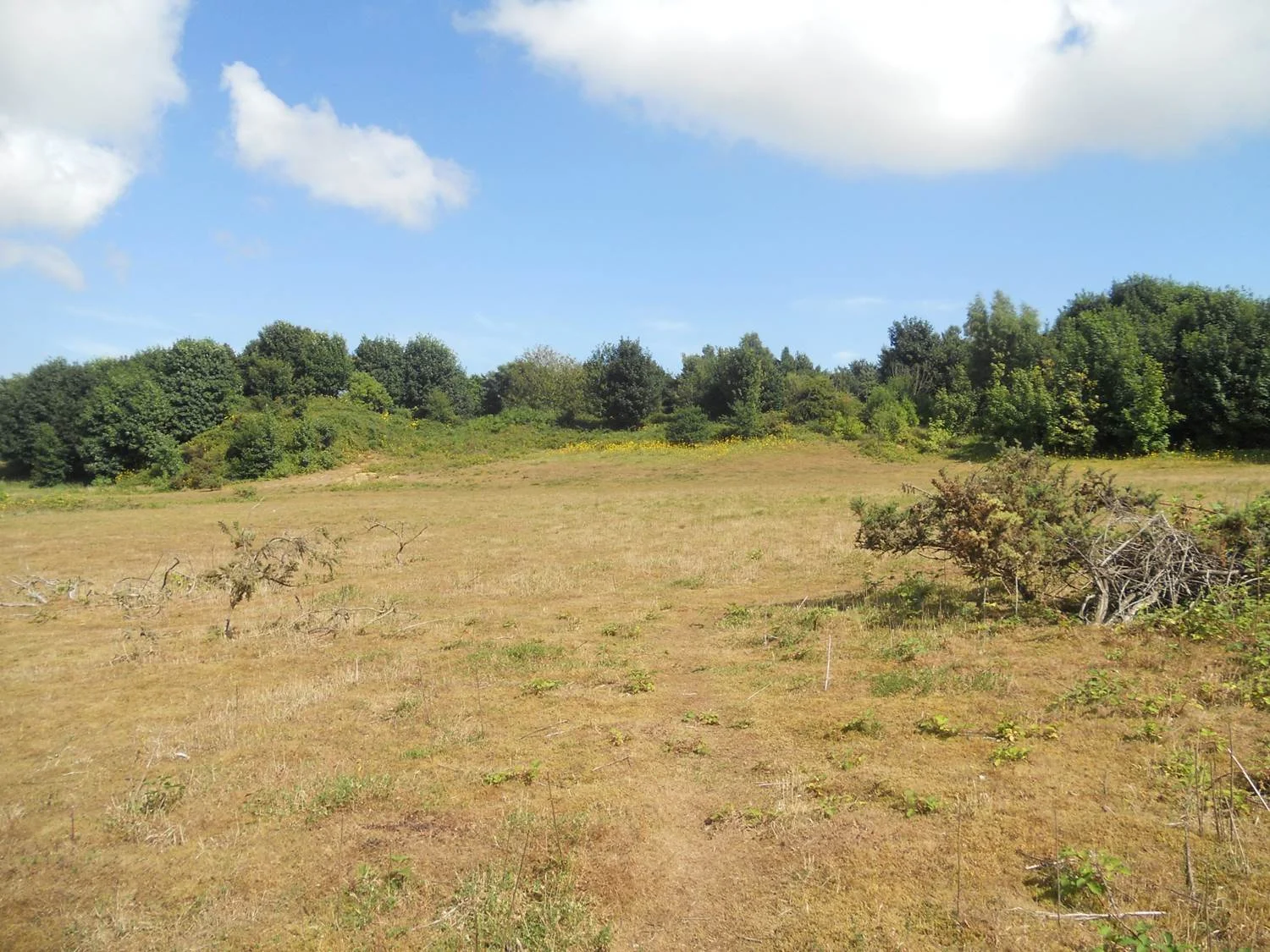 The Sandpit July 2013