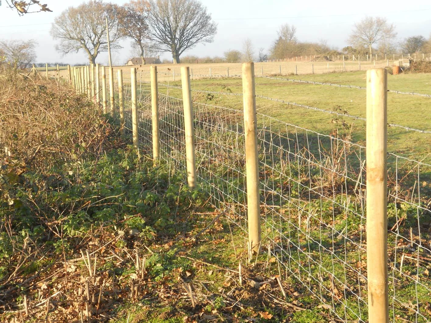 The new fence erected 2013