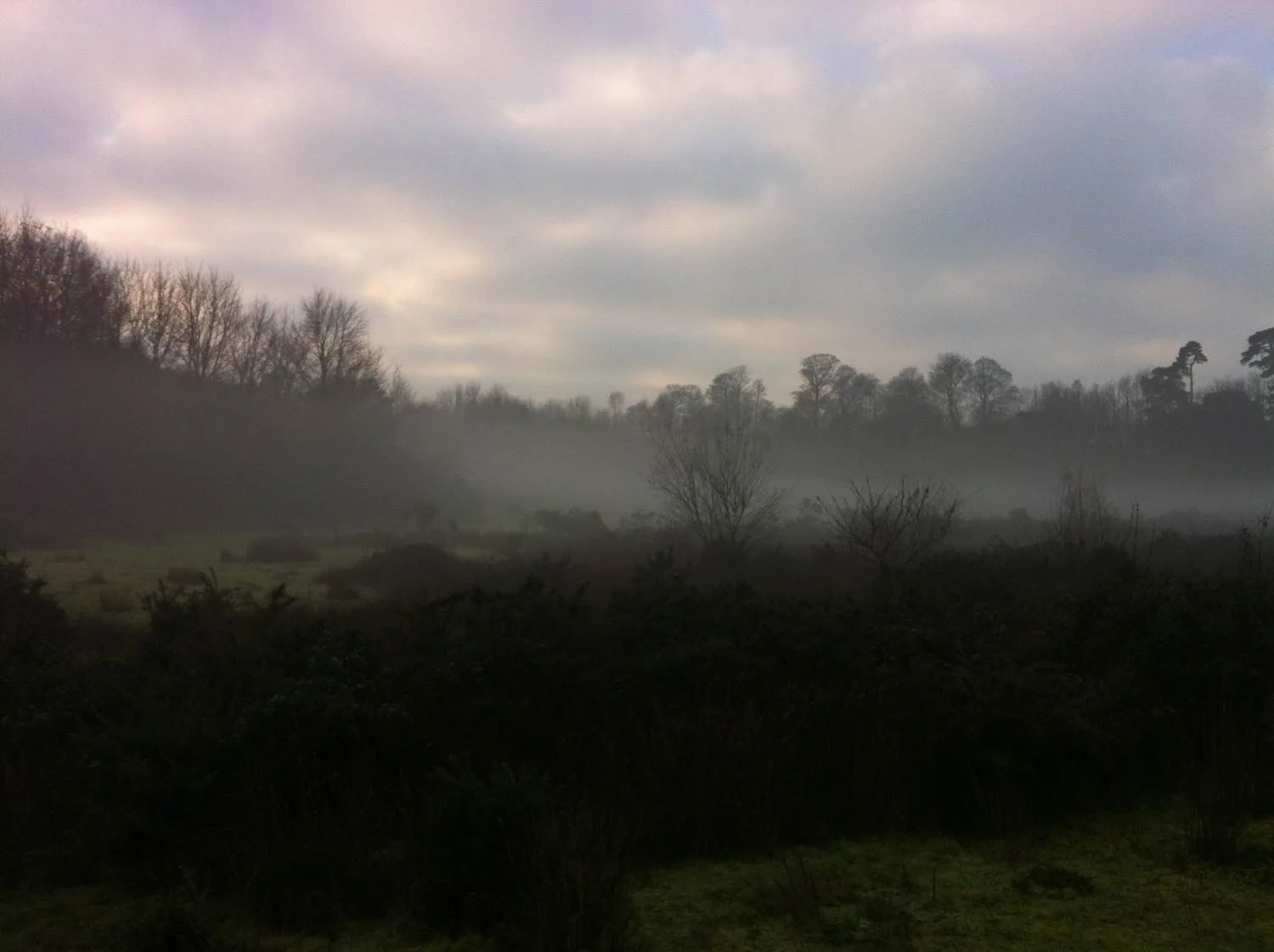Early Morning Winter 2013