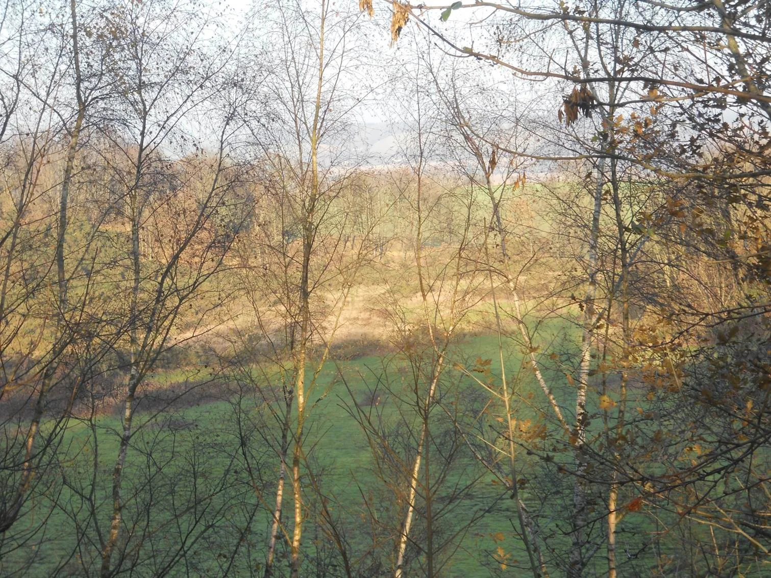 Autumn 2013