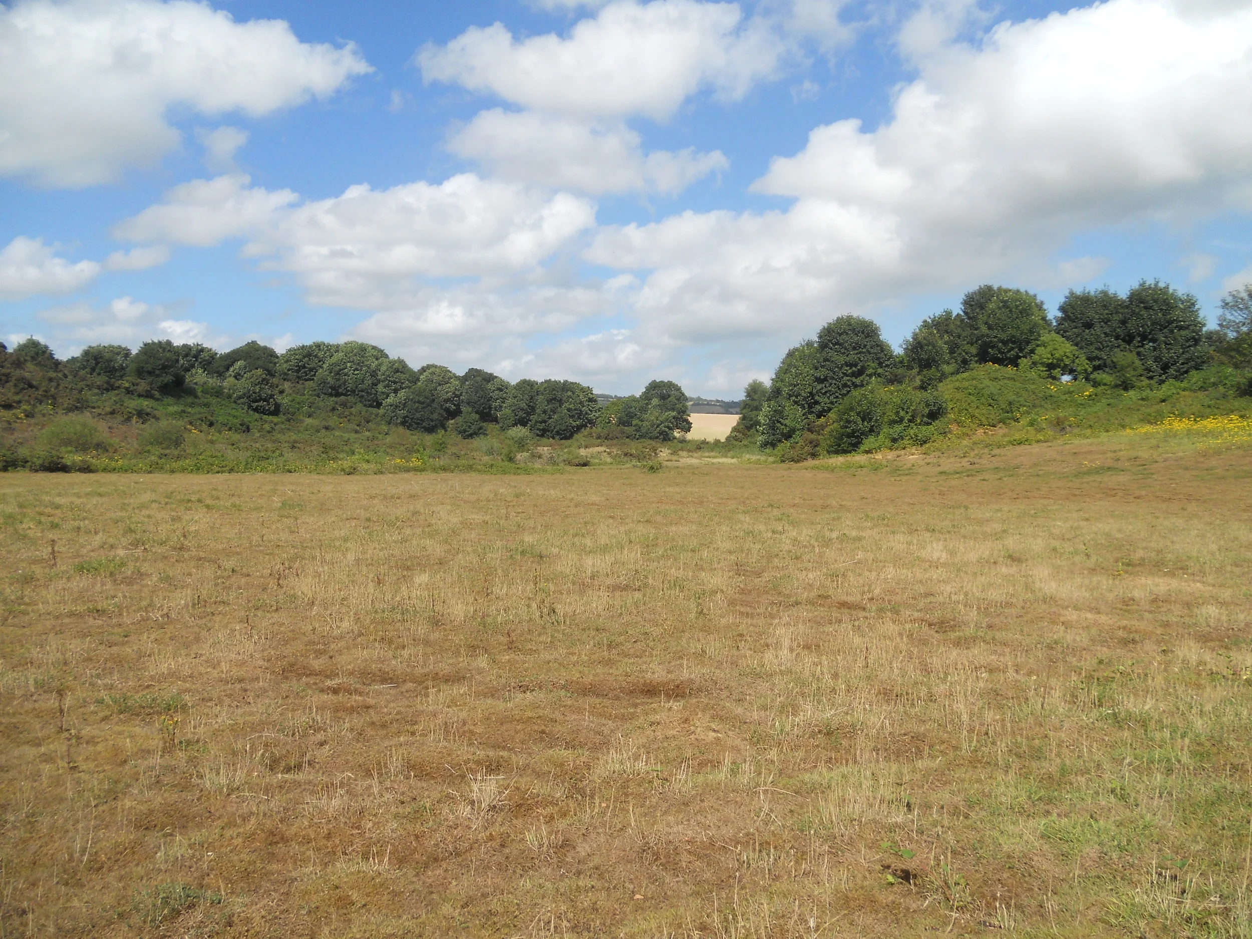   The Sandpit July 2013  