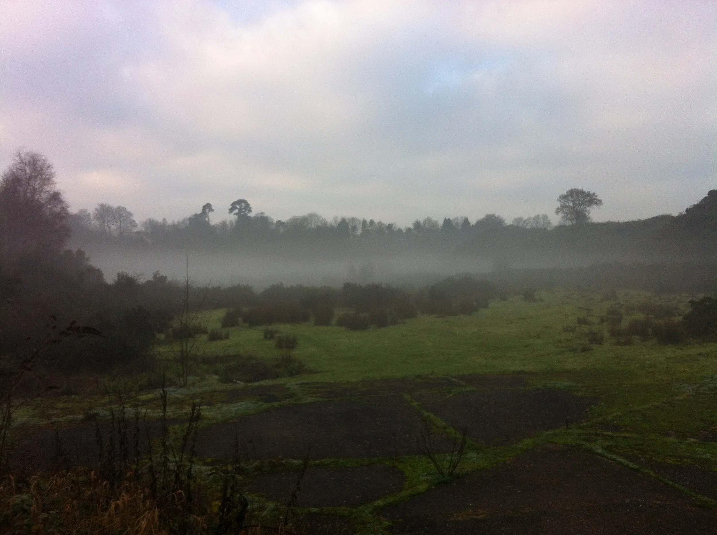   Early Morning Winter 2013  