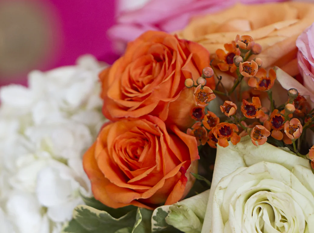 BlogShoot_0022.jpg