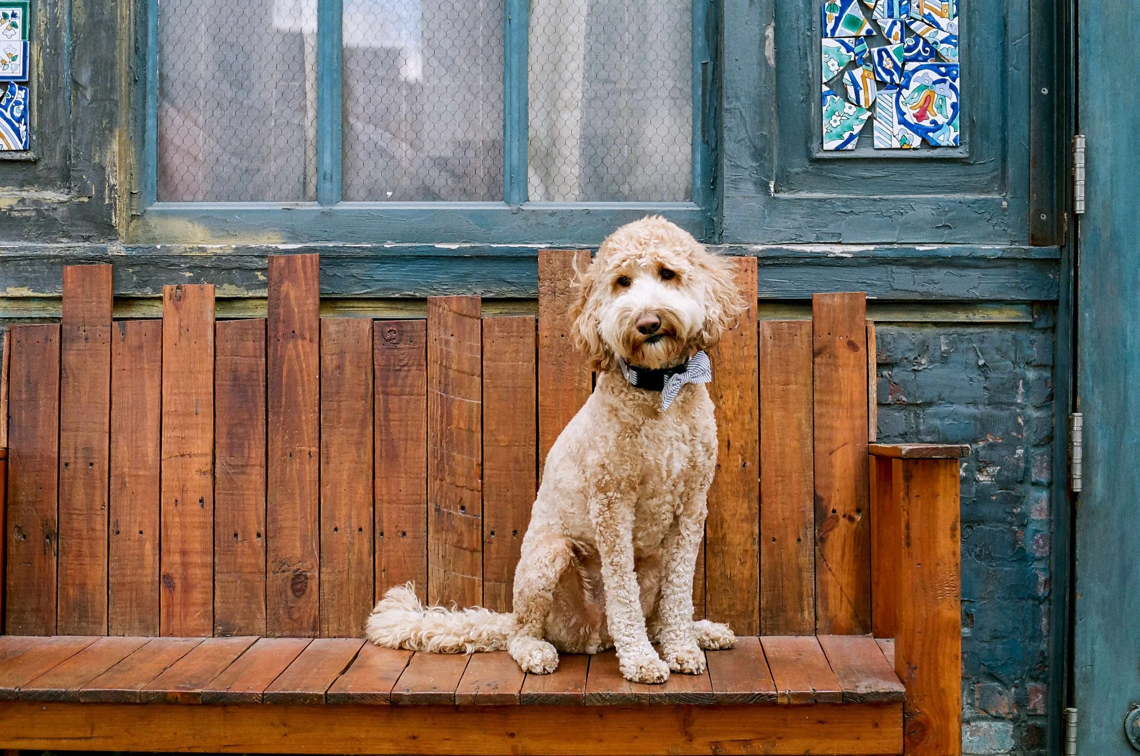 Family Portraits-9.jpg