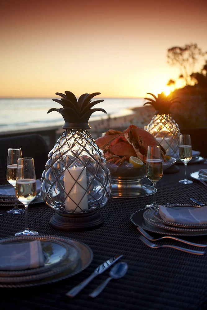 PineappleCover_FG_ES 0022 copy.jpg