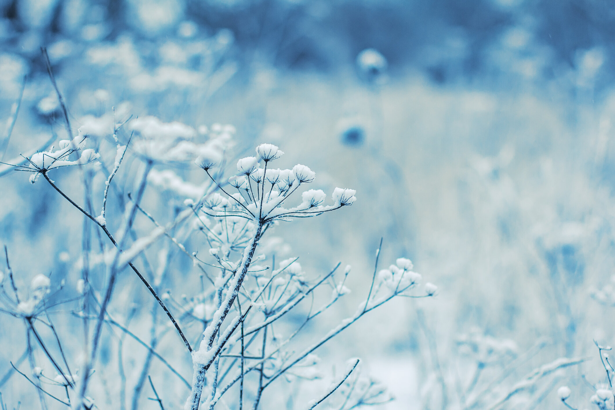 iStock-465136233.jpg