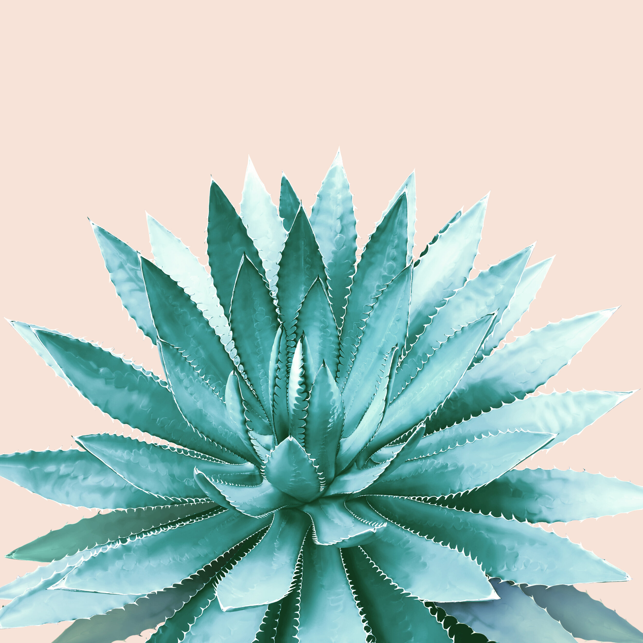 iStock-1187845157.jpg