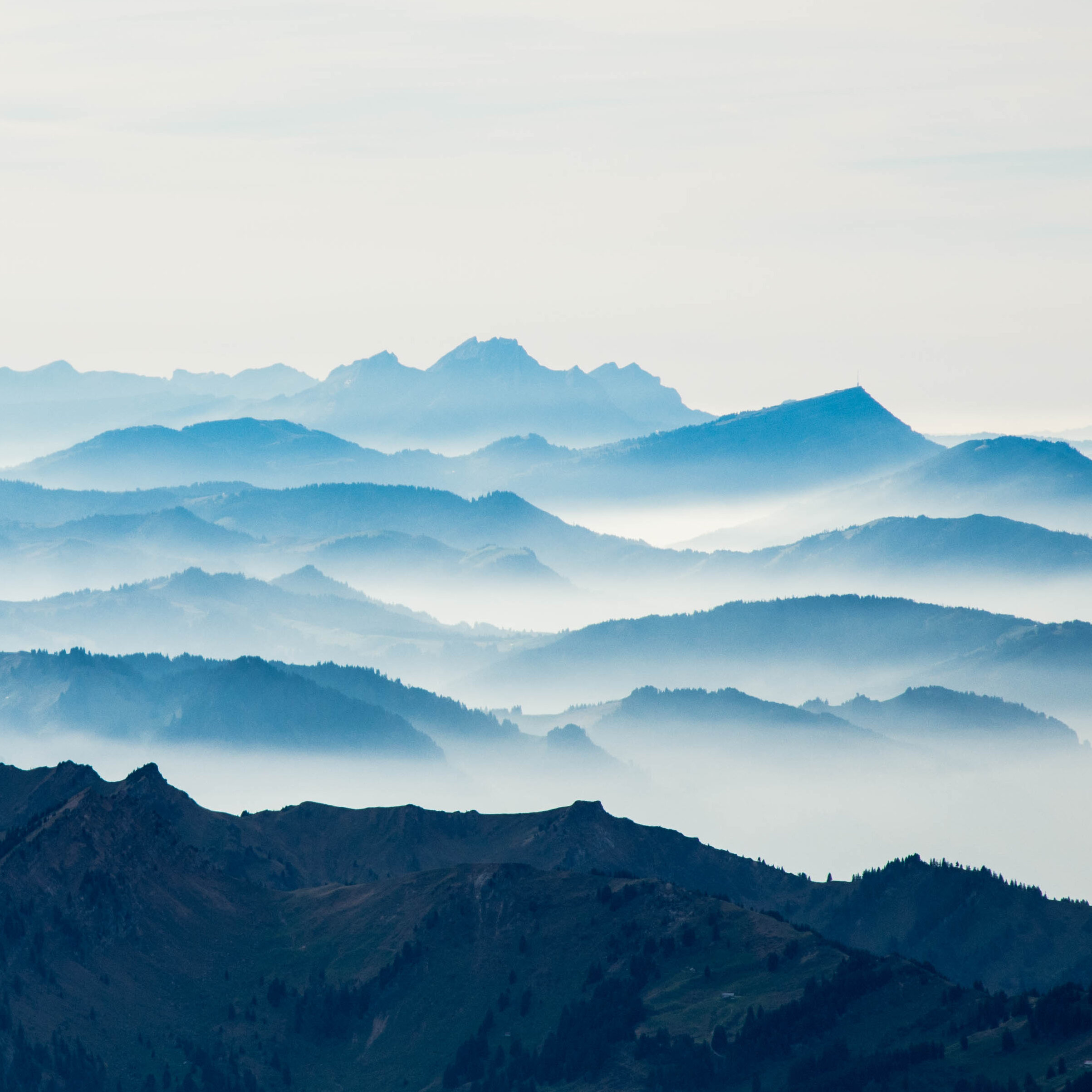 iStock-1060572736.jpg
