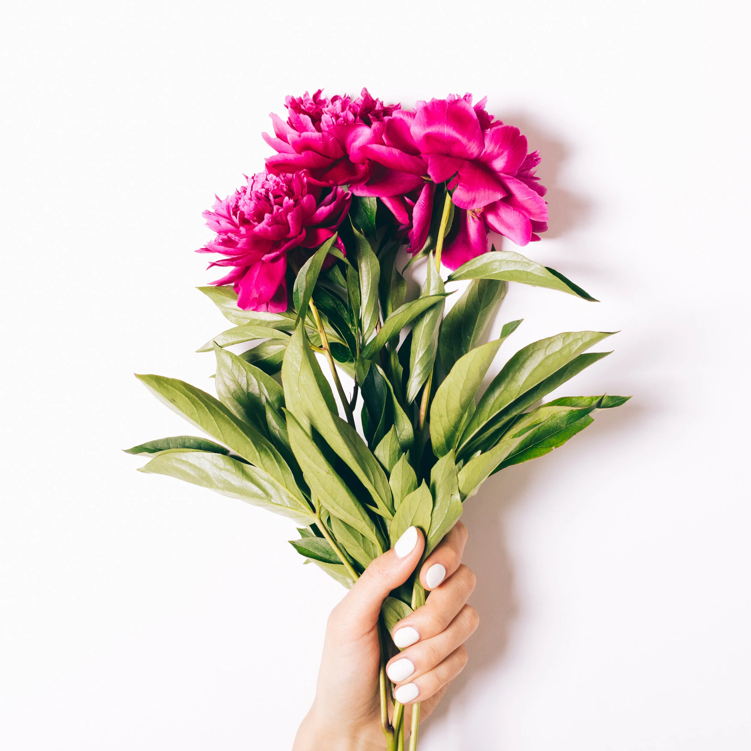 iStock-695615130.jpg