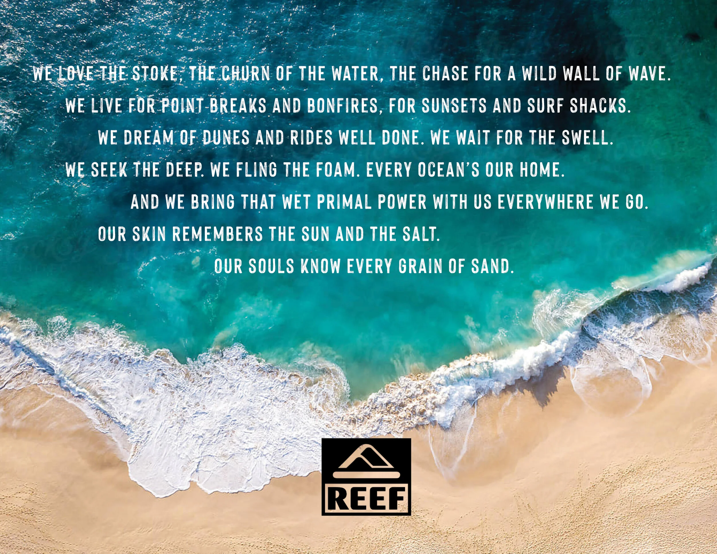 Reef2A.jpg