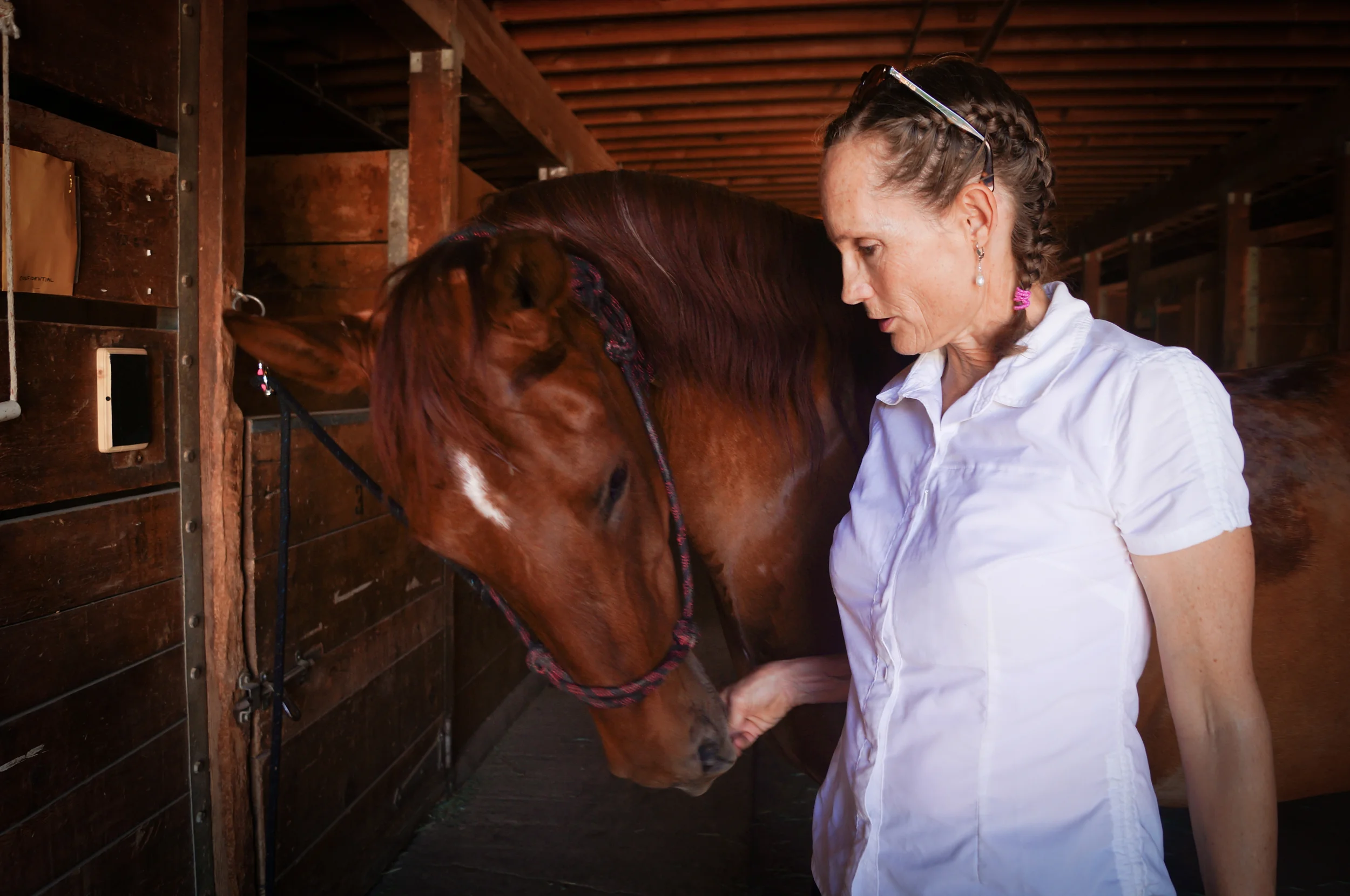 A Girl and Her Pony Part 1