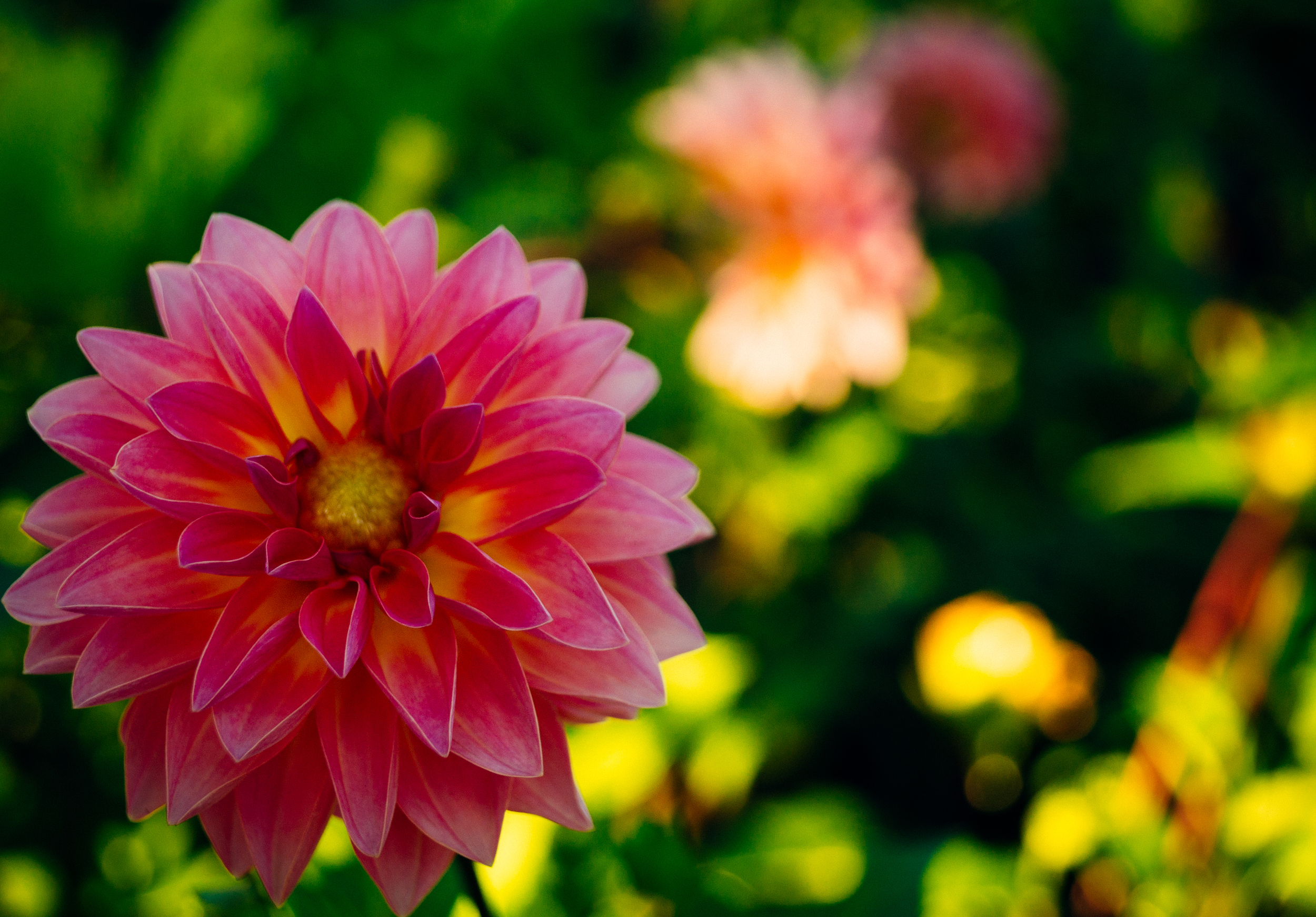 Botanic Gardens Part 2