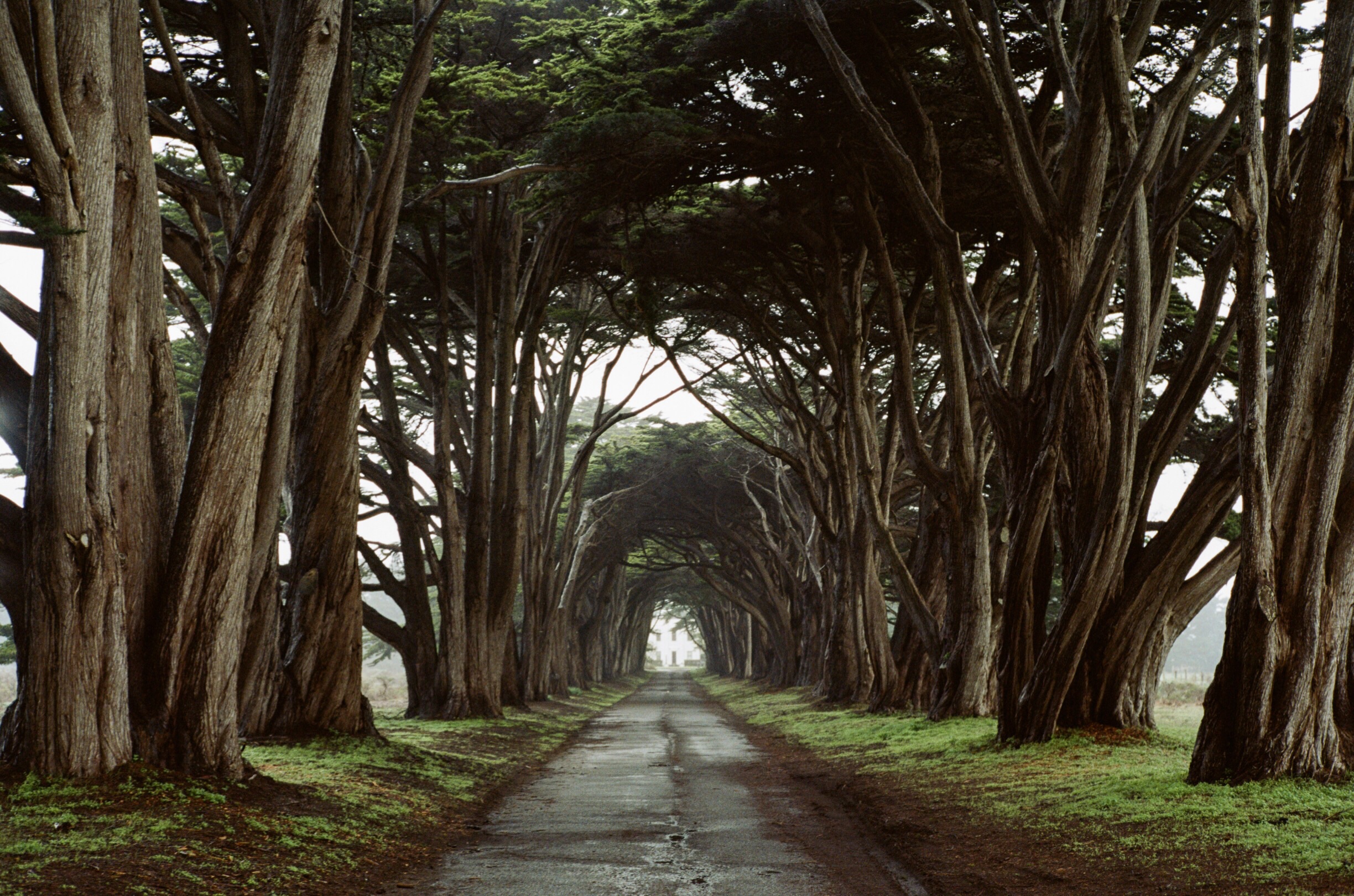 Point Reyes National Seashore