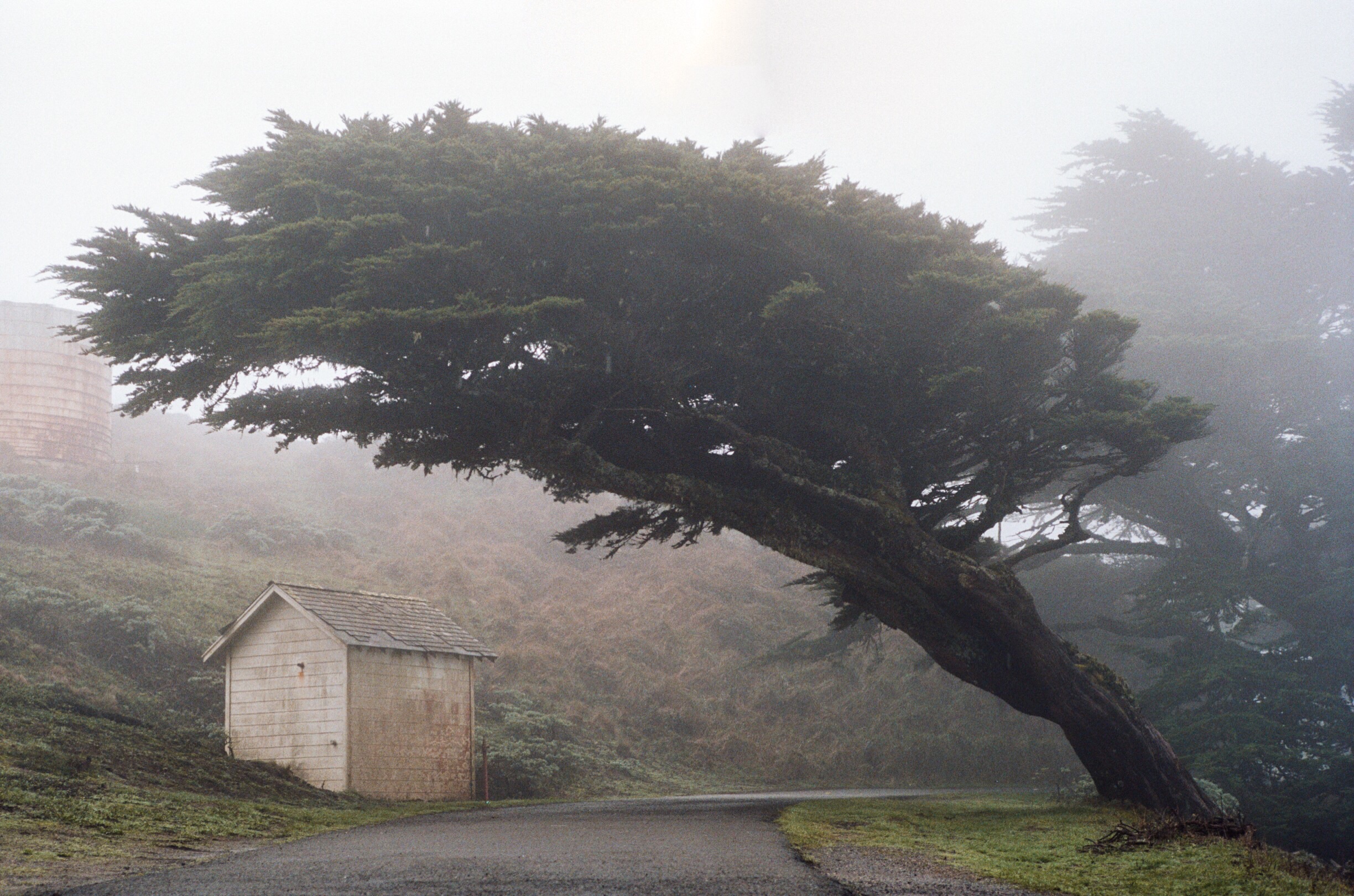 Point Reyes National Seashore