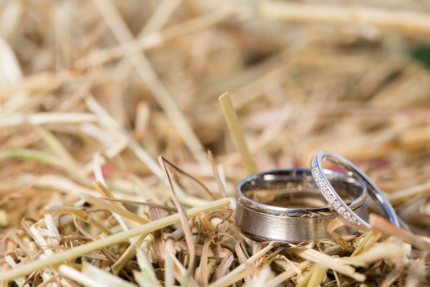 Mark_Barnes_Northern_Ireland_Wedding_Photography_Becky_and_Tom-47.jpg