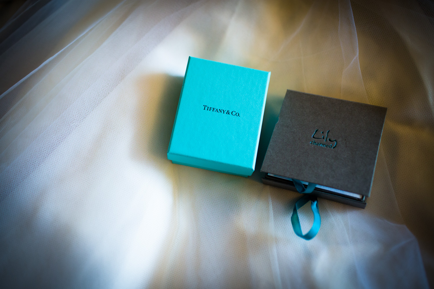 Bath-Wedding-Photographer-Mark-Barnes-Corsham_Guyers_House_wedding_Photography-8.jpg