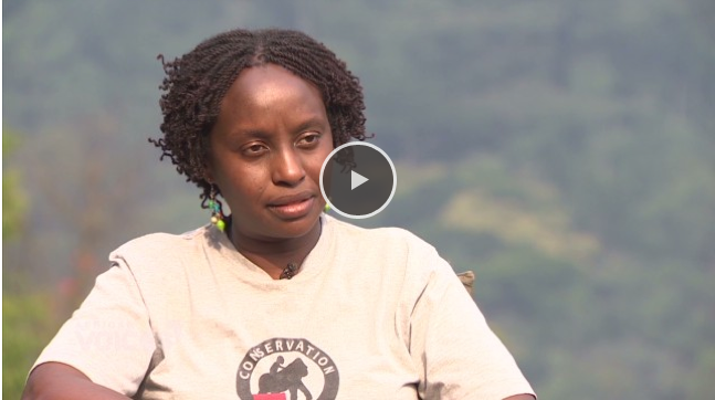 CNN Profiles WINGS Fellow Gladys Kalema-Zikusoka 