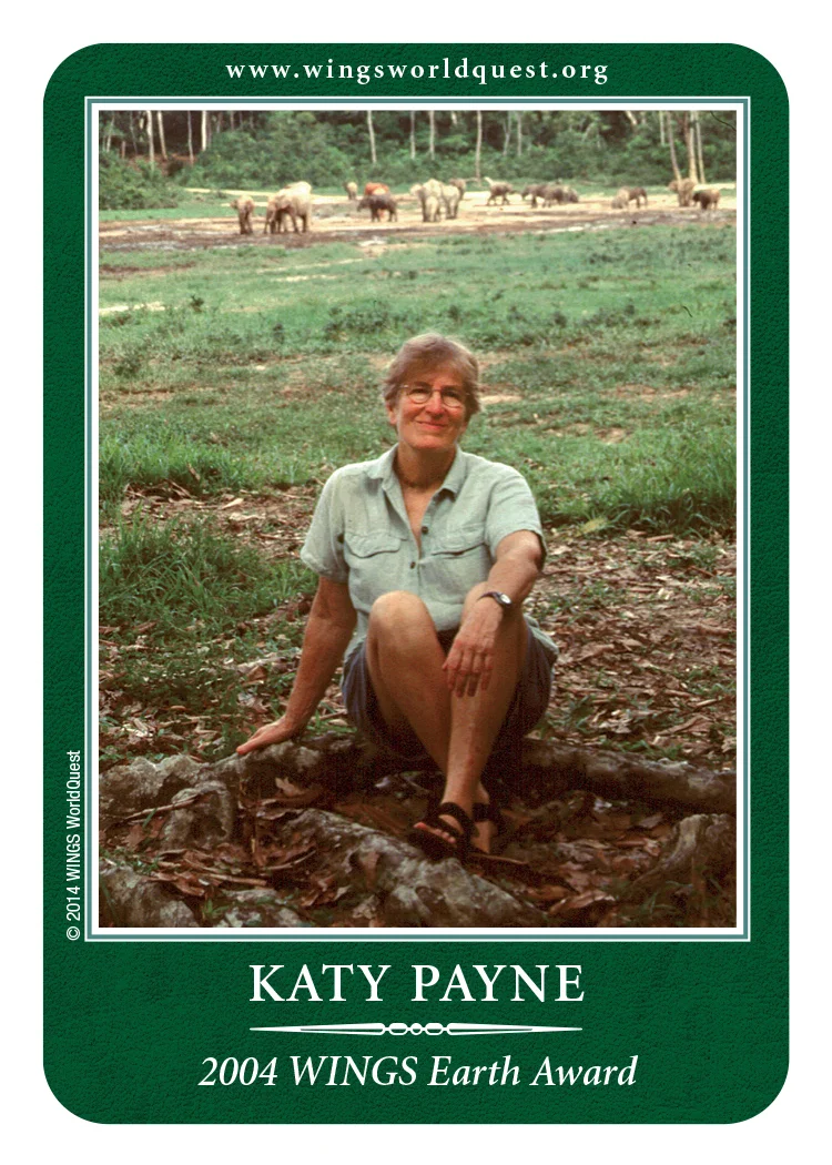 Payne_back.jpg