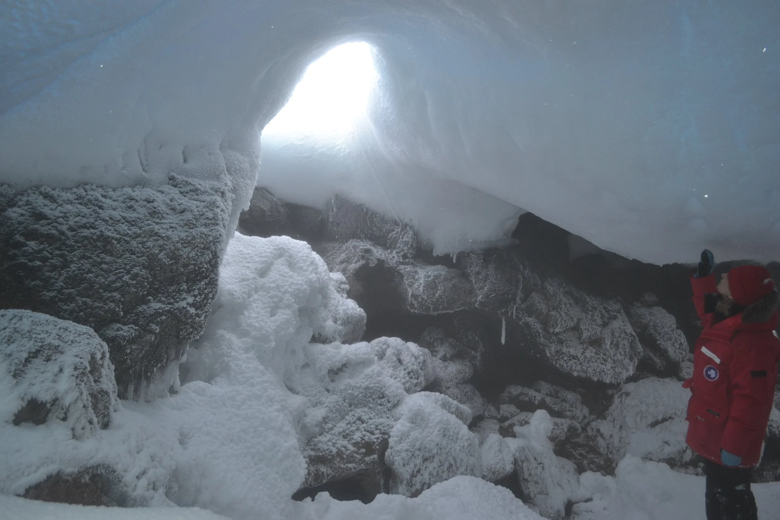 Antarctica as a Model for Other Worlds