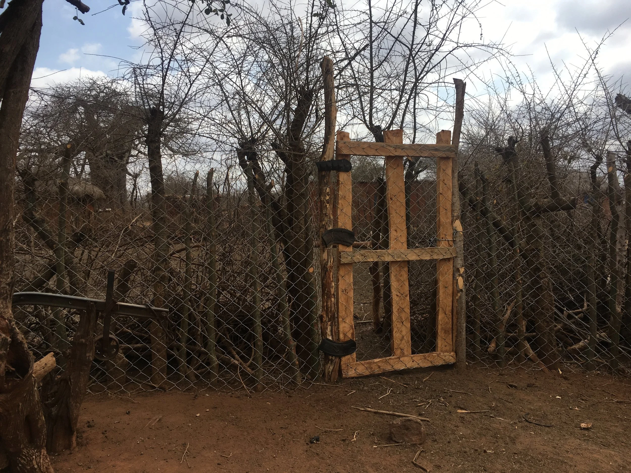 Building Living Walls to Protect Wildlife 